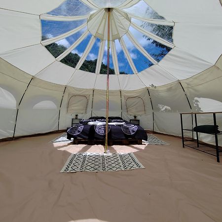 Luna Rock Glamping Brezoi - Blue Scai Zewnętrze zdjęcie