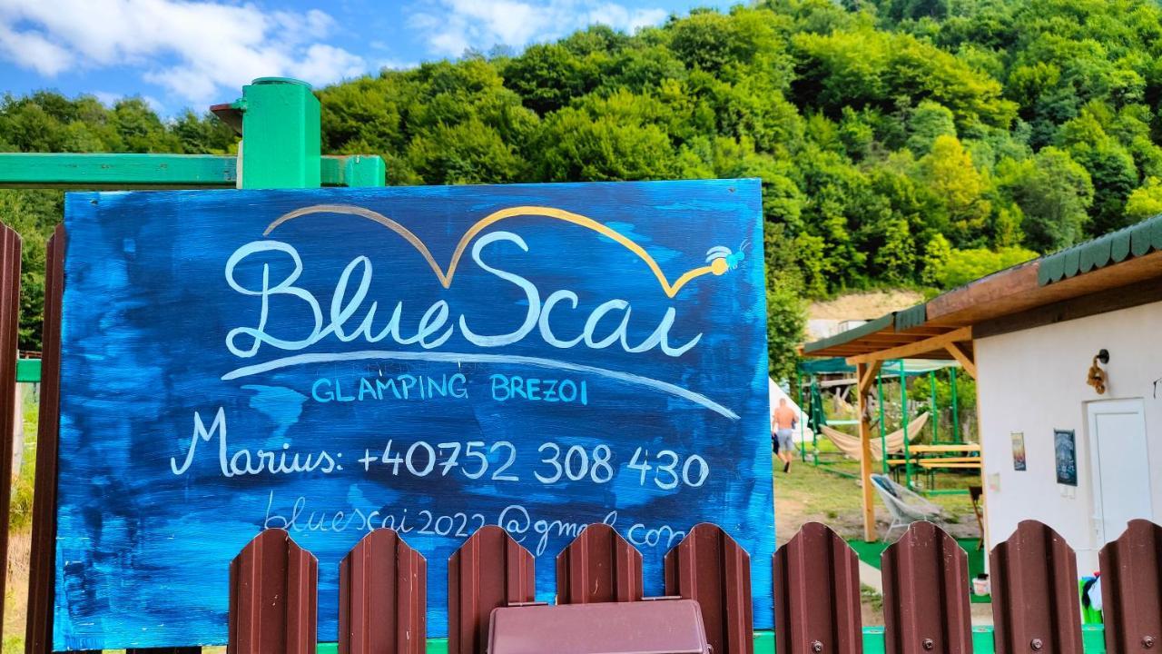 Hotel Luna Rock Glamping Brezoi - Blue Scai Zewnętrze zdjęcie